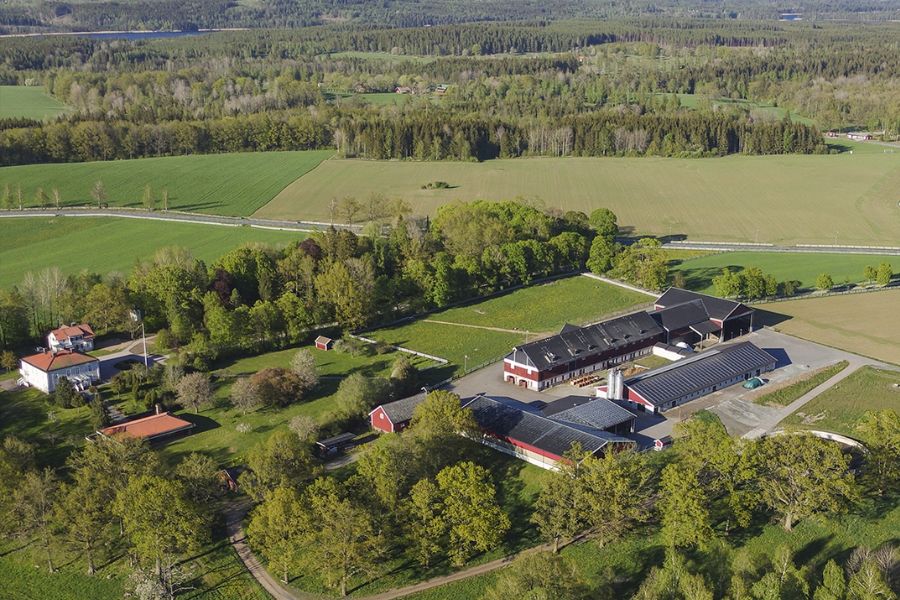 Entreprenörsanda, inspiration och nytänkande